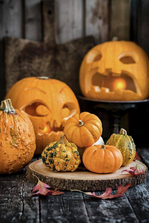 Halloween Pumpkins And Ghourds Photograph by Lucy Parissi