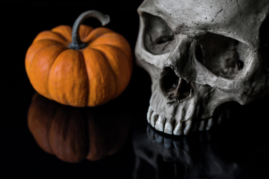 Halloween Still Life Photograph by Andrew Pacheco