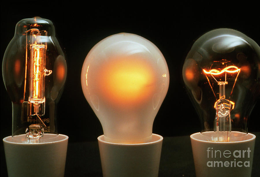 Halogen And Normal Incandescent Light Bulbs Photograph by Amy Trustram Eve/science Photo Library