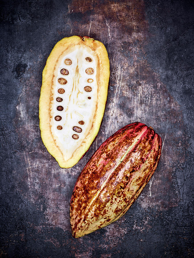 Halved Cocoa Pod On A Dark Metal Background Photograph by Peter Rees