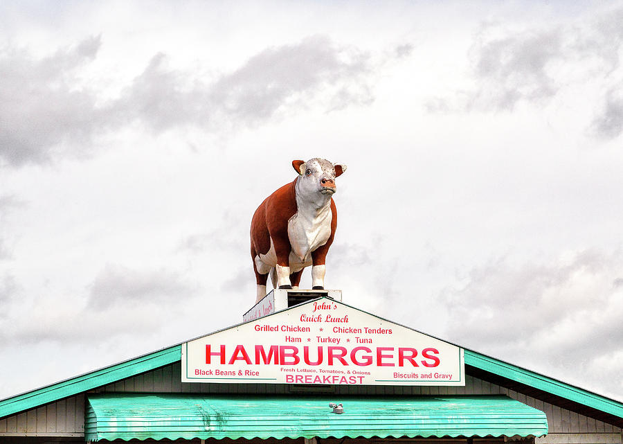 Hamburger Joint Sign Photograph by Cindy Archbell