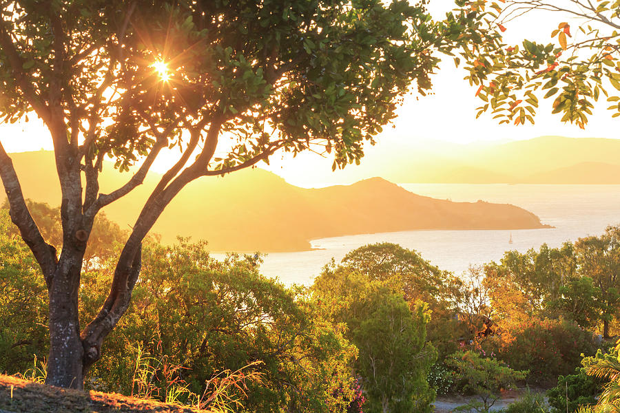 Sunset Digital Art - Hamilton Island In Australia by Maurizio Rellini