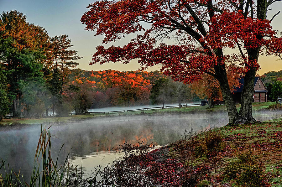 Hamilton MA Patton Park Fall Foliage Sunrise Photograph by Toby McGuire