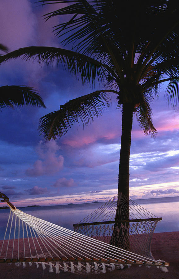 Hammock And Coconut Tree At Dusk Photograph by Holger Leue