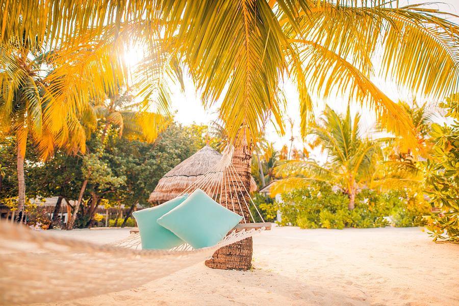 Paradise Photograph - Hammock And Pillows Between Two Palm by Levente Bodo