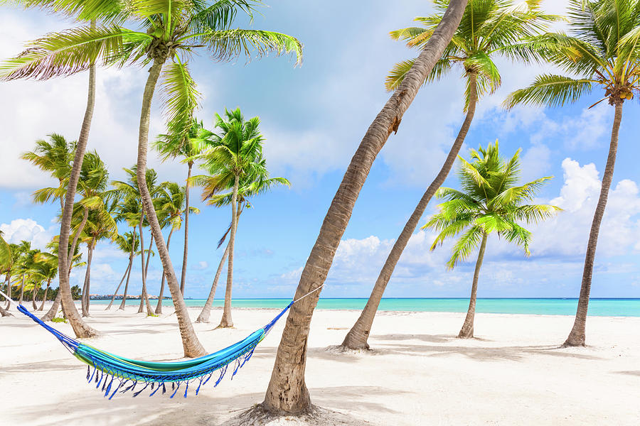 Hammock Between Palm Trees On Beach, Dominican Republic, The Caribbean ...