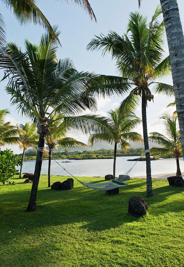 Hammock In The Hotel Complex Of The Four Seasons Resort Mauritius At Anahita Photograph by Anthony Lanneretonne