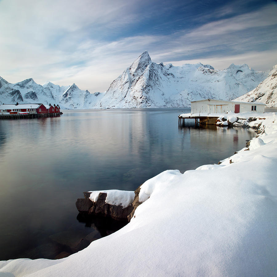 Hamnøy Harbour, Lofoten Islands Photograph by Antonyspencer