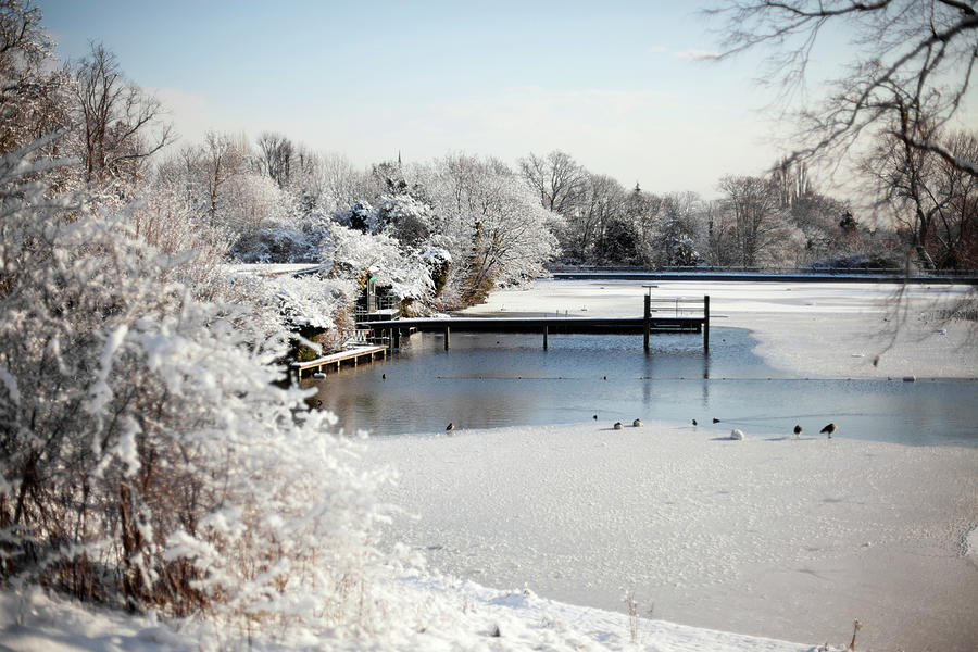 Hampstead Heath - Mens Swimming Pond Photograph by Watchlooksee.com