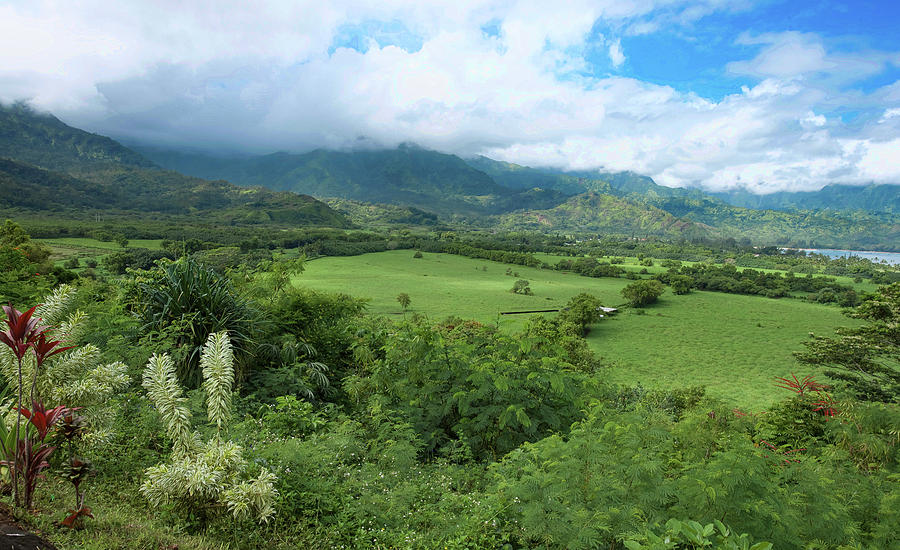 Hanalei Valley Kauai Photograph by Alana Easton-Claus - Fine Art America