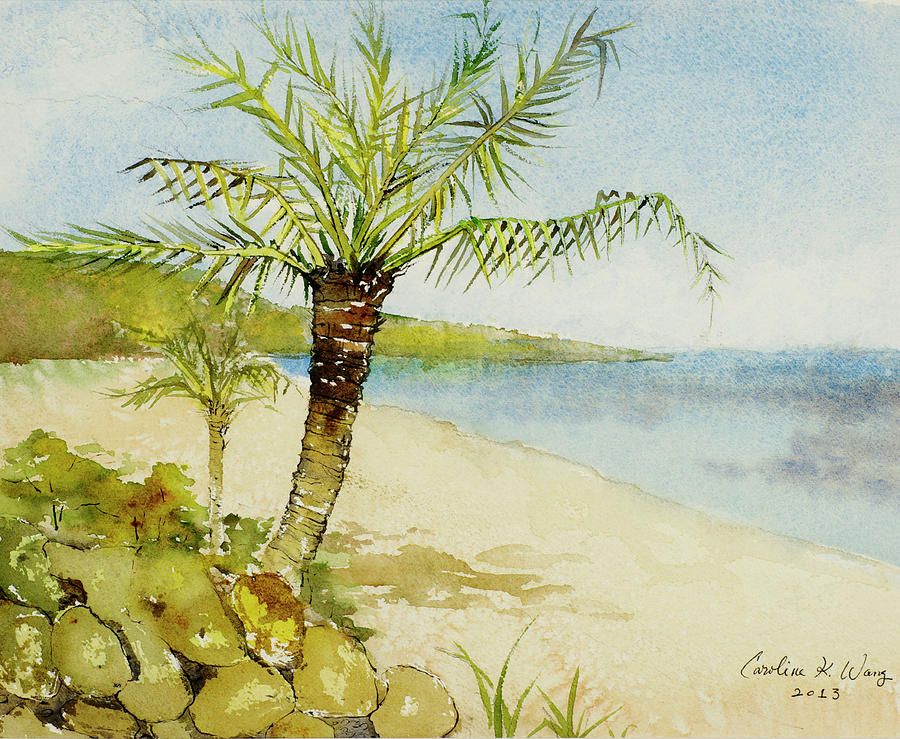 Hanauma Bay   Hawaii Painting By Caroline Wang   Fine Art America