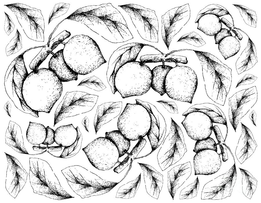 Hand Drawn Background of Bacupari or Garcinia Gardneriana Fruits ...