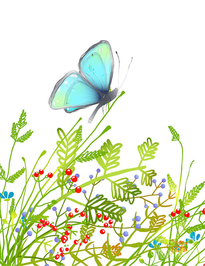 Delicate Digital Art - Hand Drawn Delicate Blue Butterfly by Popmarleo Delicate Digital Art - Hand Drawn Delicate Blue Butterfly by Popmarleo