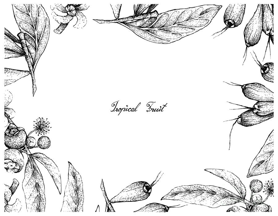 Hand Drawn Frame of Tropical Fruits Background Drawing by Iam Nee ...