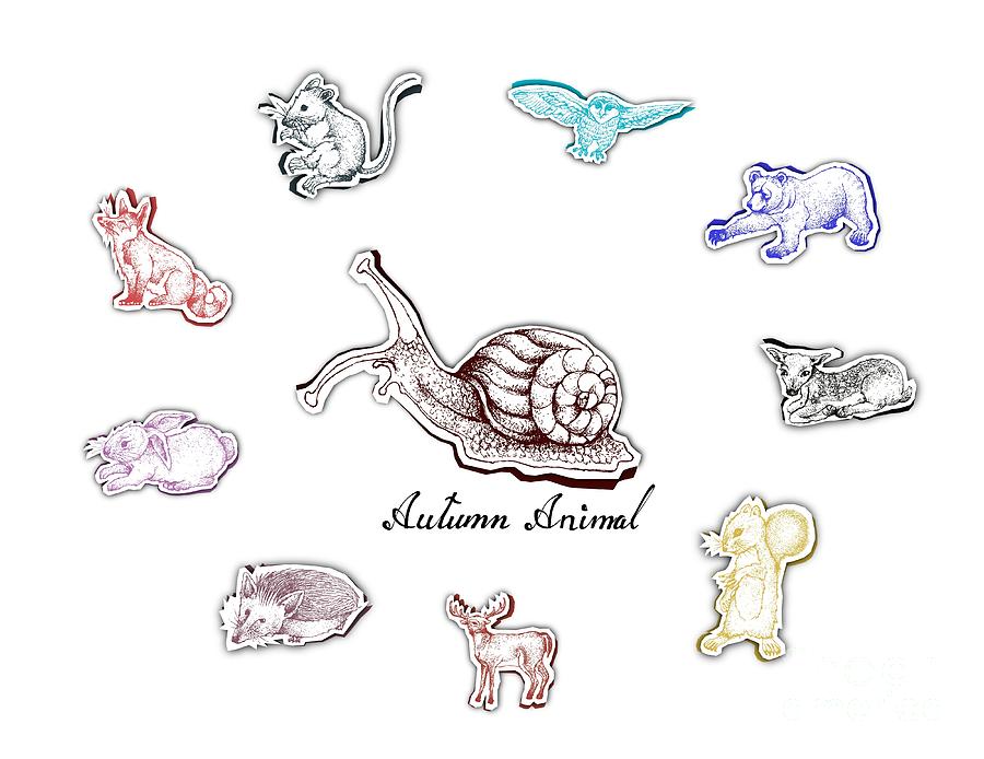 Hand Drawn Of Autumn Animals With Paper Cut Art Drawing