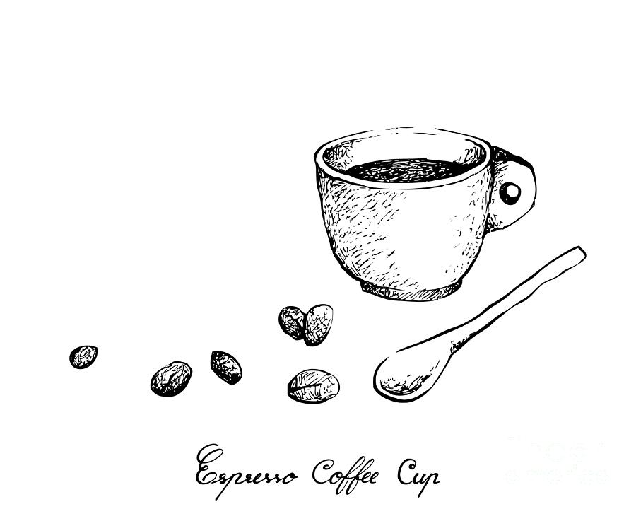Hand Drawn of Espresso Coffee with Roasted Coffee Beans Drawing by Iam Nee