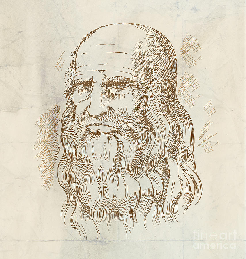 Hand drawn portrait. Leonardo Da Vinci Drawing by Domenico Condello