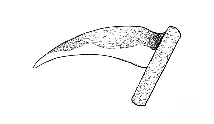 Hand Drawn Sketch of Sickle or Bagging Hook Drawing by Iam Nee