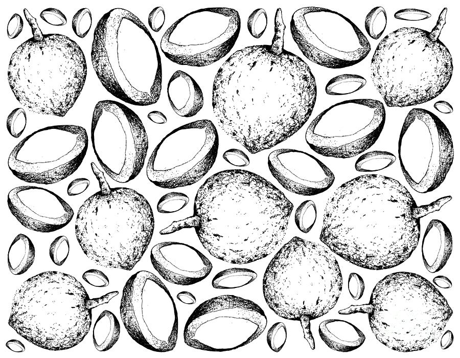 Hand Drawn Wallpaper Background of Bacuri Fruits Drawing by Iam Nee ...