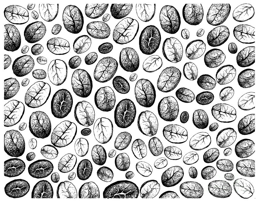 One single line drawing whole healthy organic coffee bean for canvas prints  for the wall • canvas prints vector, style, single line | myloview.com