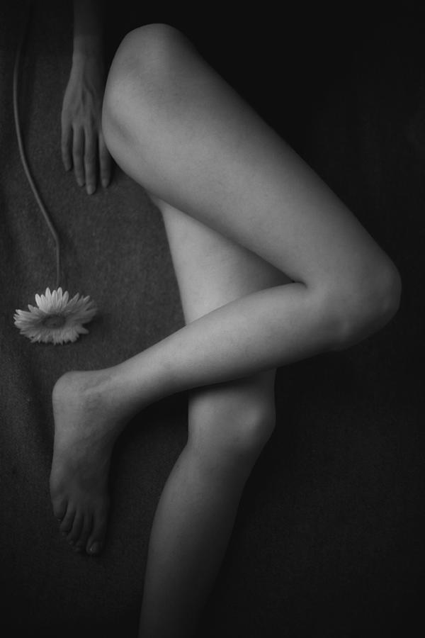 Hand, Legs, And Flower Photograph by Suren Manvelyan