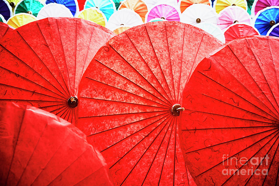 Hand Made Paper And Bamboo Umbrellas Photograph by Thomas Barwick
