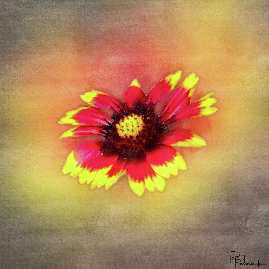 Hand Painted in Digital Watecolor by Rick Furmanek Hand Painted in Digital Watecolor by Rick Furmanek