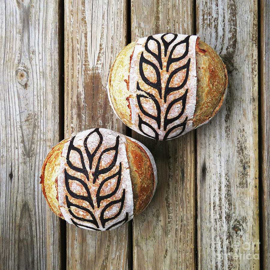 Hand Painted Wheat Design Sourdough Boules Photograph by Amy E Fraser