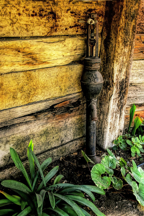 Hand Pump in the Flower Bed Photograph by Floyd Snyder