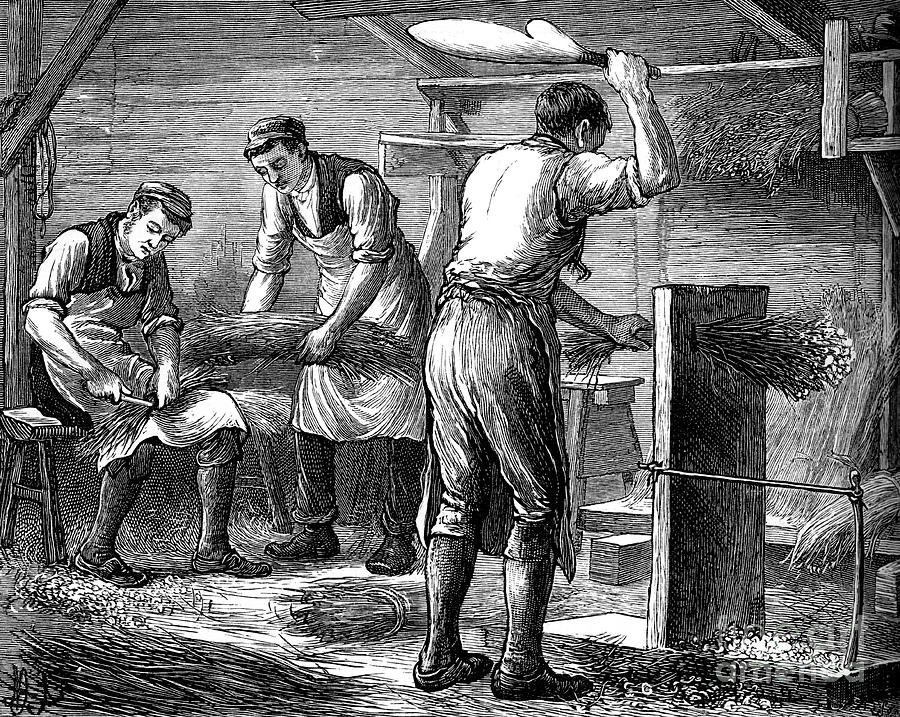Hand-scutchers At Work, C1880 Drawing by Print Collector