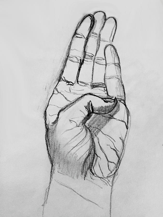 Hand Study 5 Drawing by Mary Bedy - Fine Art America