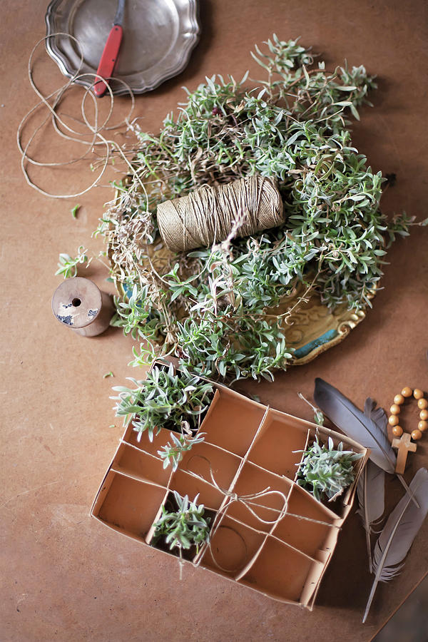 Handmade Chickweed Easter Nest With Twine, Egg Box And Feathers Photograph by Alicja Koll