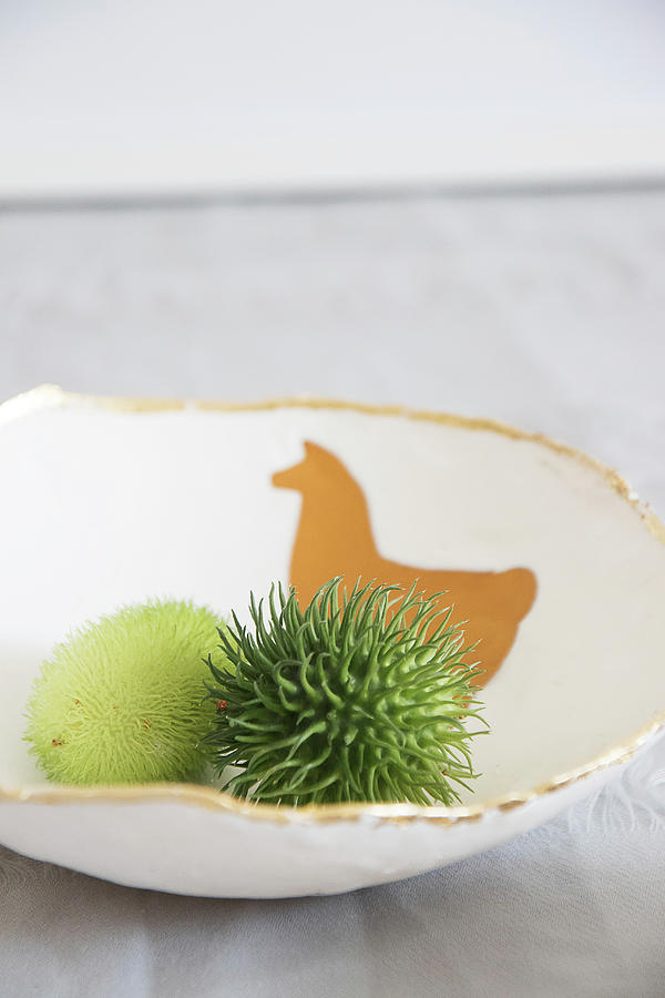Handmade Fruitbowl With Lama Motif Photograph by Astrid Algermissen