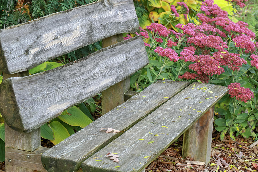 Handmade Rustic Bench Photograph by Laura Smith