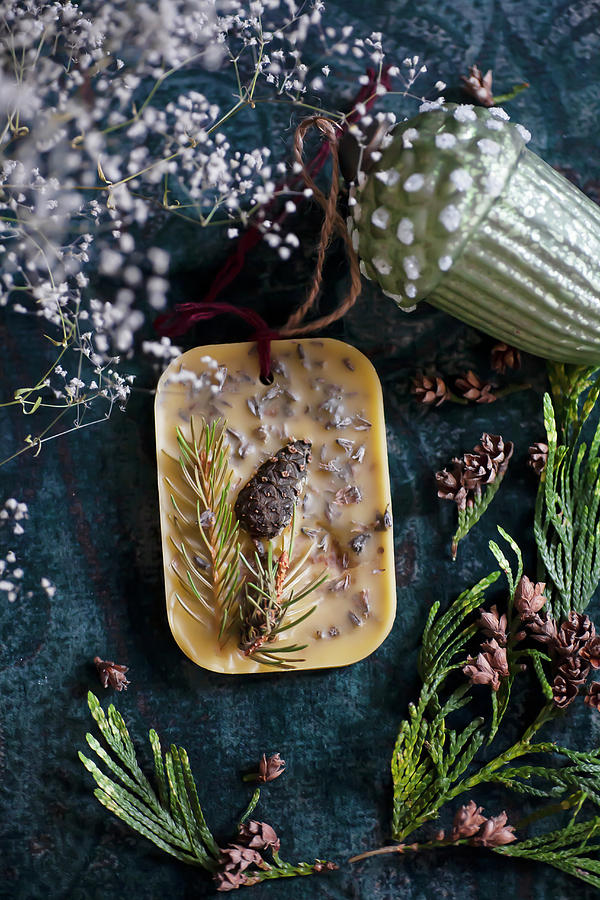 Handmade Scented Wax With Thuja And Conifer Twigs Photograph by Alicja Koll