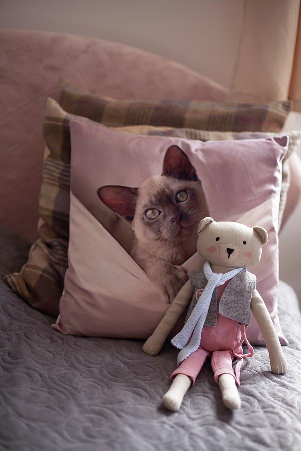 Handmade Teddy Bear And Scatter Cushion With Cat Motif On Bed Photograph by Alicja Koll