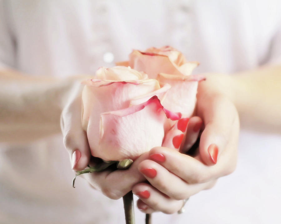 Hands Holding Roses Photograph by Sandra Hudson-knapp