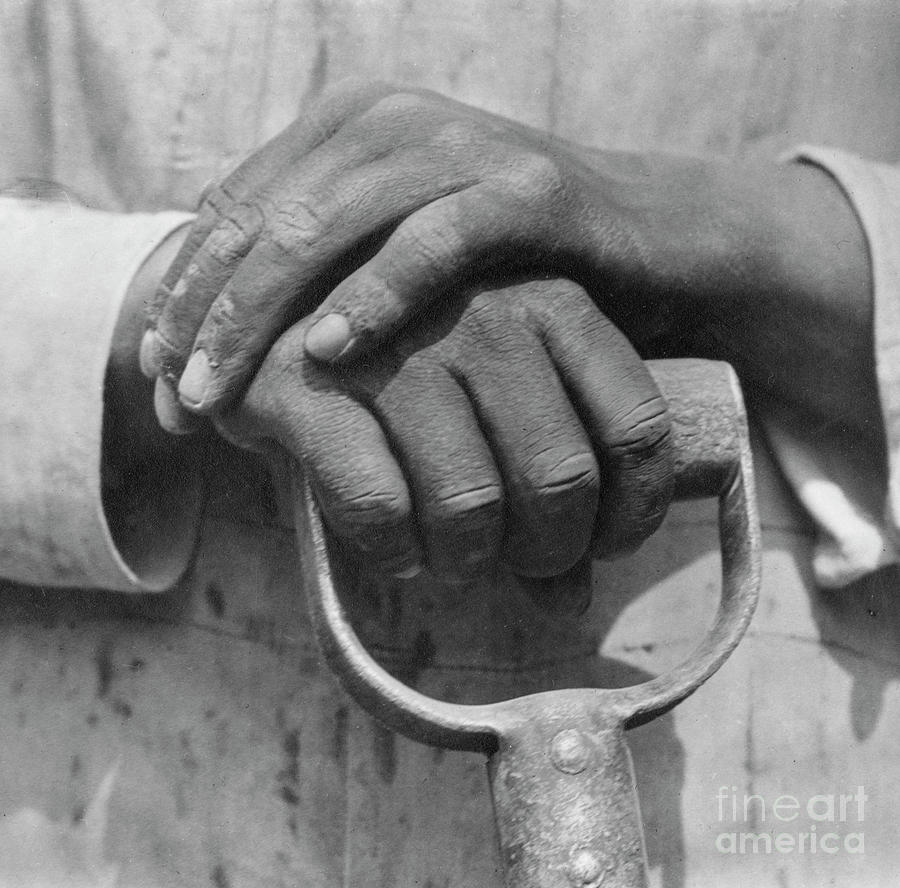 Hands of a Construction Worker, Mexico, 1926 Photograph by Tina Modotti