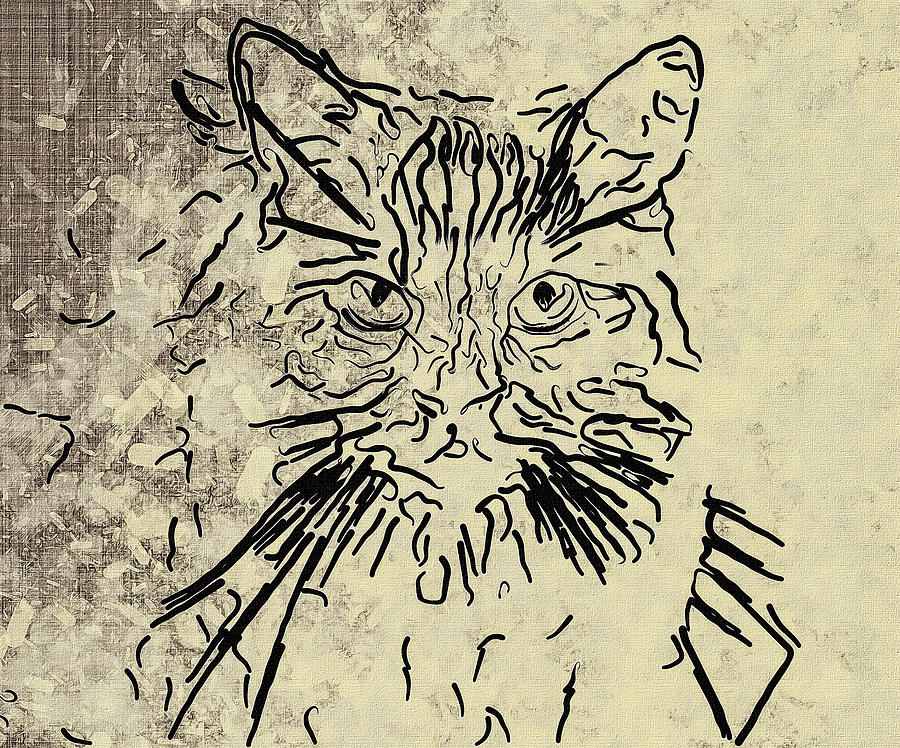 Handsome Kitty Digital Art by Don Northup
