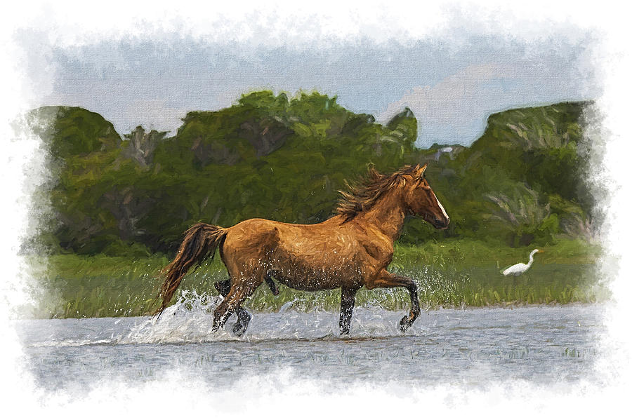 Handsome stallion horse prancing through the marsh paintography Photograph by Dan Friend