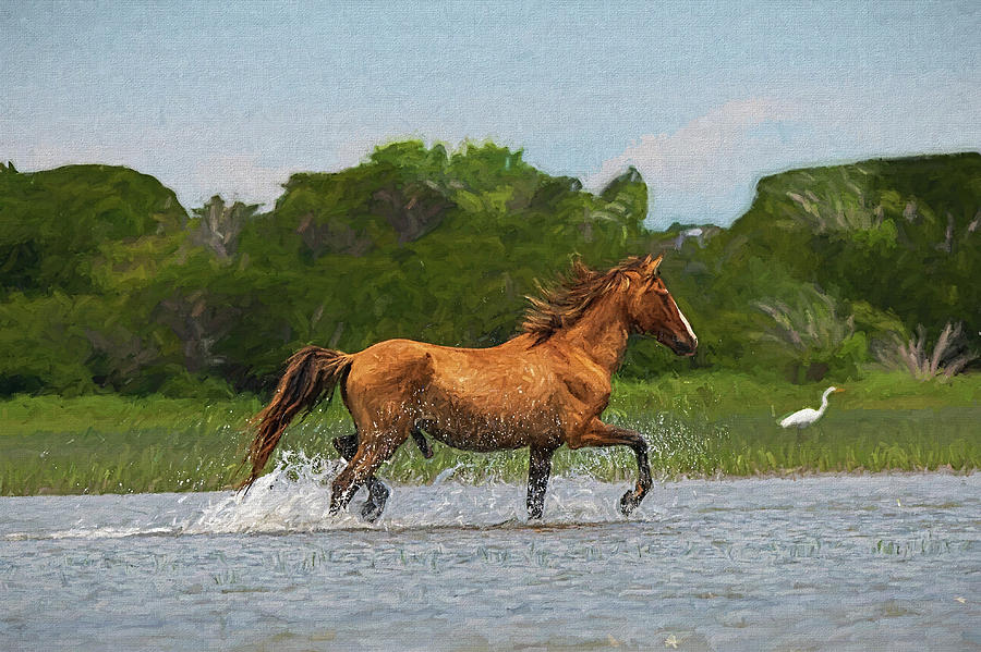 Handsome stallion prancing through the water paintography Photograph by Dan Friend