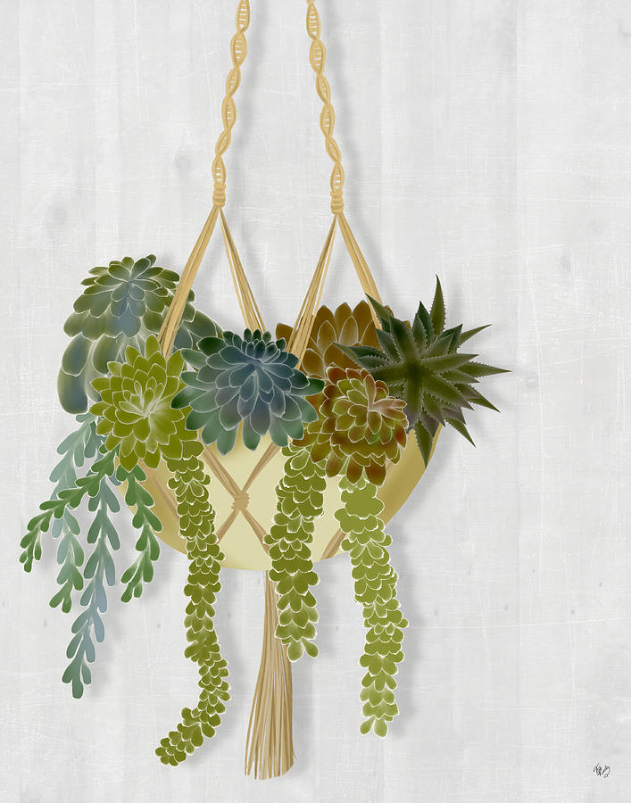 Pattern Painting - Hanging Basket Succulents 1 by Fab Funky