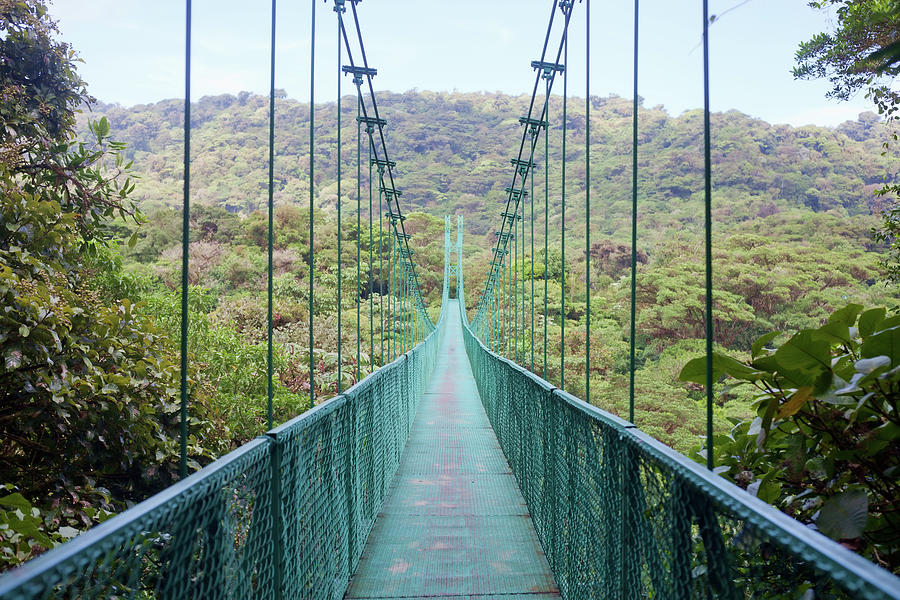 Hanging Bridge, Costa Rica Photograph by Stellalevi