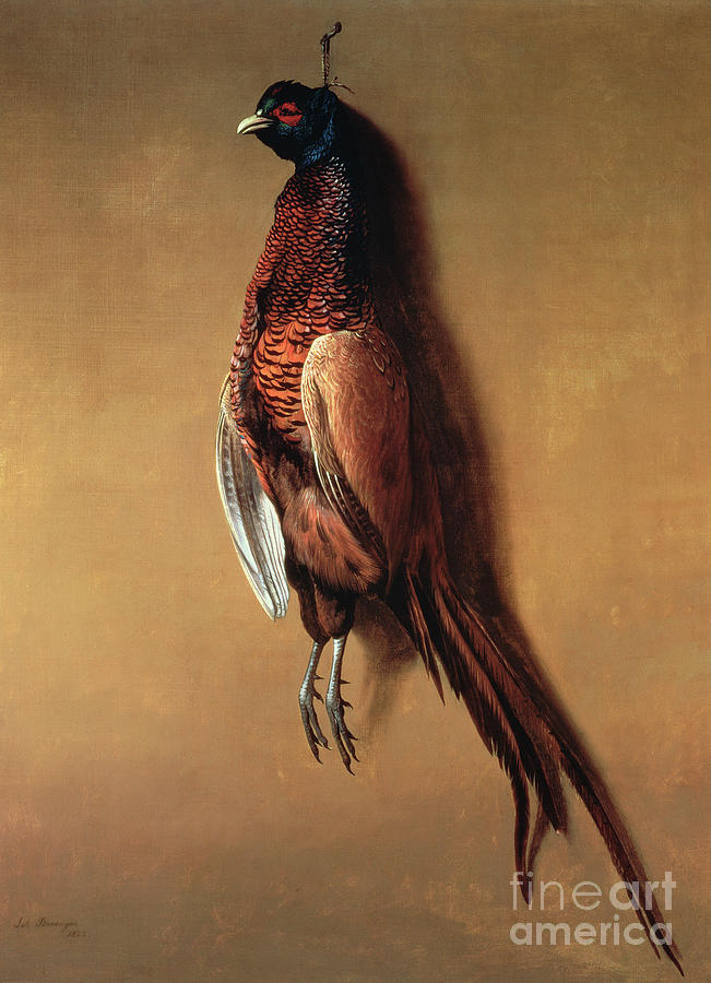 Hanging Cock Pheasant, 1822 Painting by James Barenger