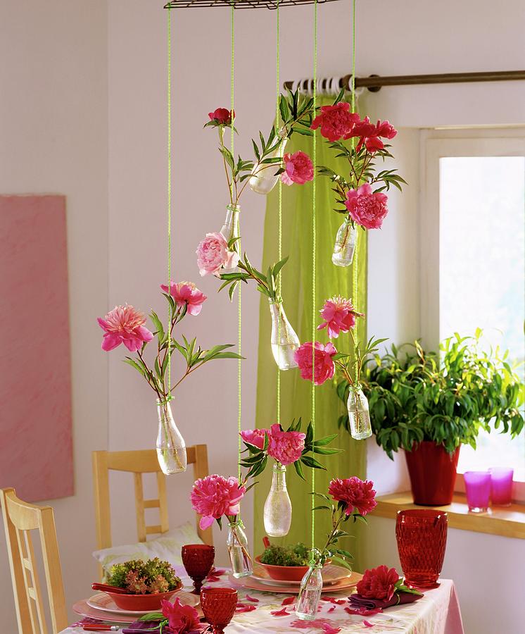 Hanging Decoration: Peonies And Willow Myrtle In Small Bottles Photograph by Friedrich Strauss