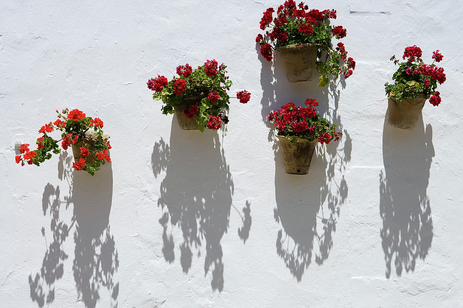 Hanging Flower Pots On Wall Of Bodega Photograph by Holger Leue