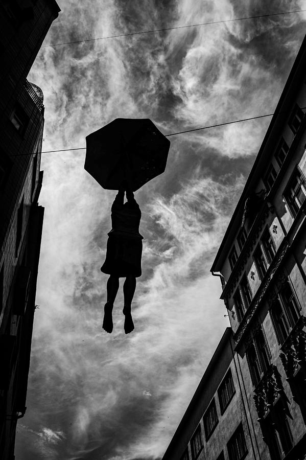 Hanging In There Photograph by Wille Roos Fine Art America