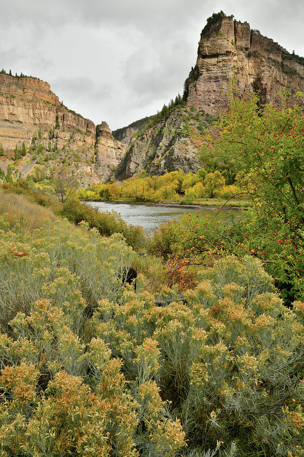 Hanging Lake Rest Area Fall Colors in Glenwood Canyon Photograph by Ray Mathis