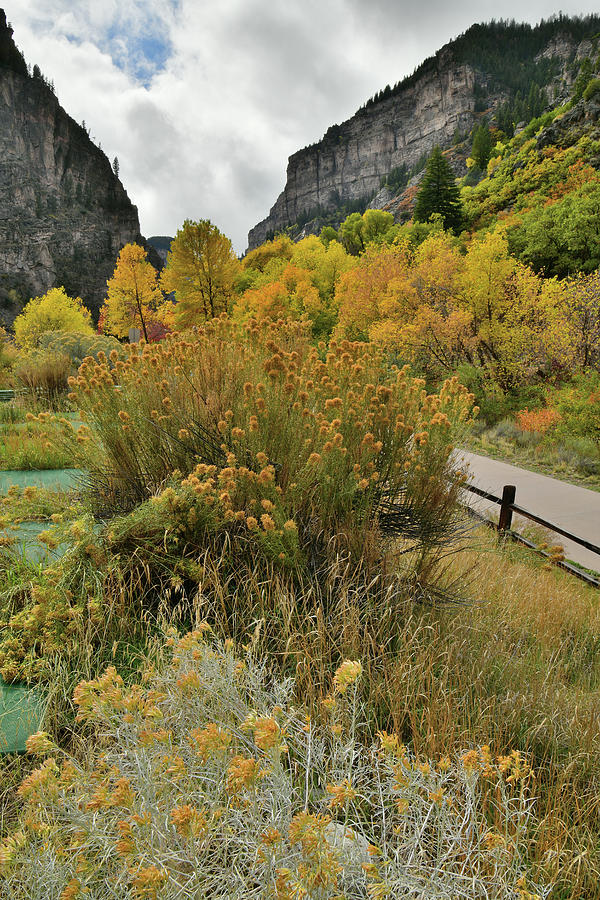 Hanging Lake Rest Area in Fall Color Photograph by Ray Mathis