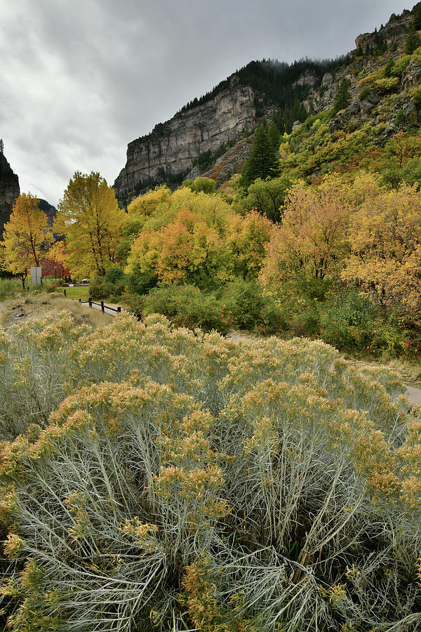 Hanging Lake Rest Stop Fall Color Photograph by Ray Mathis